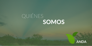 quiénes somos | ANDA