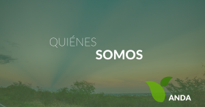 Quiénes somos | Página oficial de ANDA