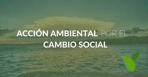 Página de la Asociación Nacional de Derecho Ambiental ANDA